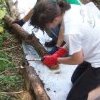 Fixing the path Emma Cebador in Clow Beck VAP UK